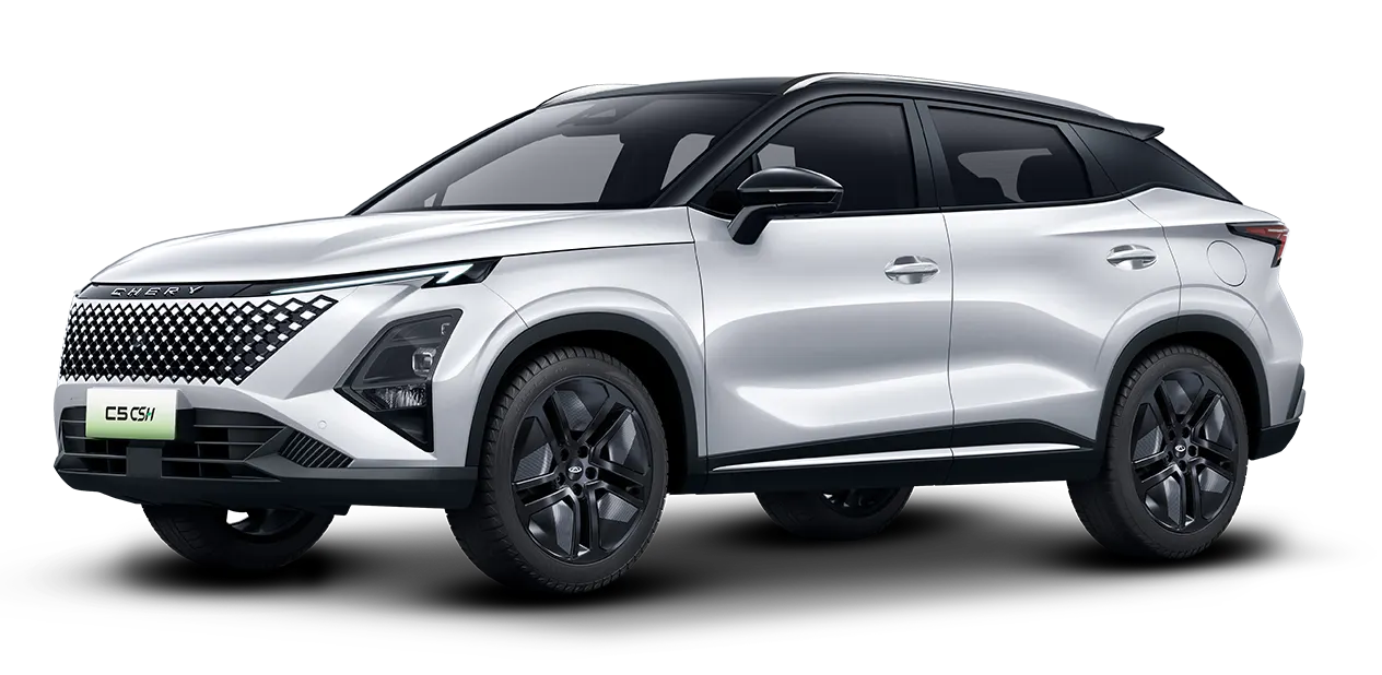 car-white-howlite-two-tone.webp